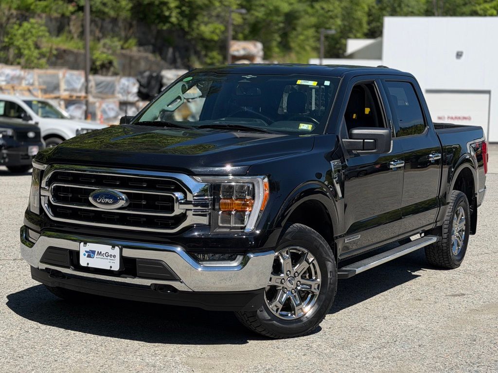 2023 Ford F-150 XLT 4x4 SuperCrew 5-1/2 Box's photo