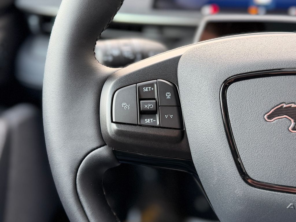 2025 Ford Mustang Mach-E Premium - Photo 11