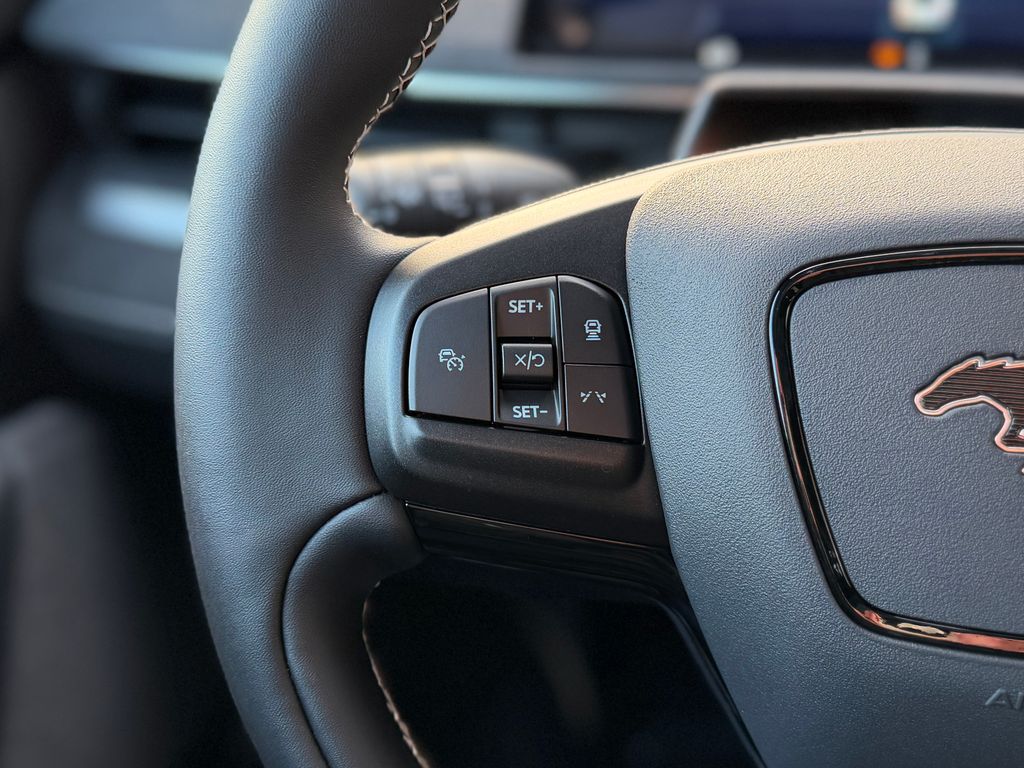 2025 Ford Mustang Mach-E GT - Photo 11