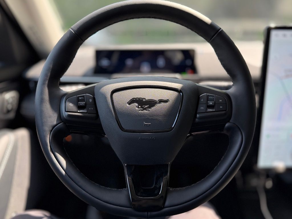 2025 Ford Mustang Mach-E Premium - Photo 10