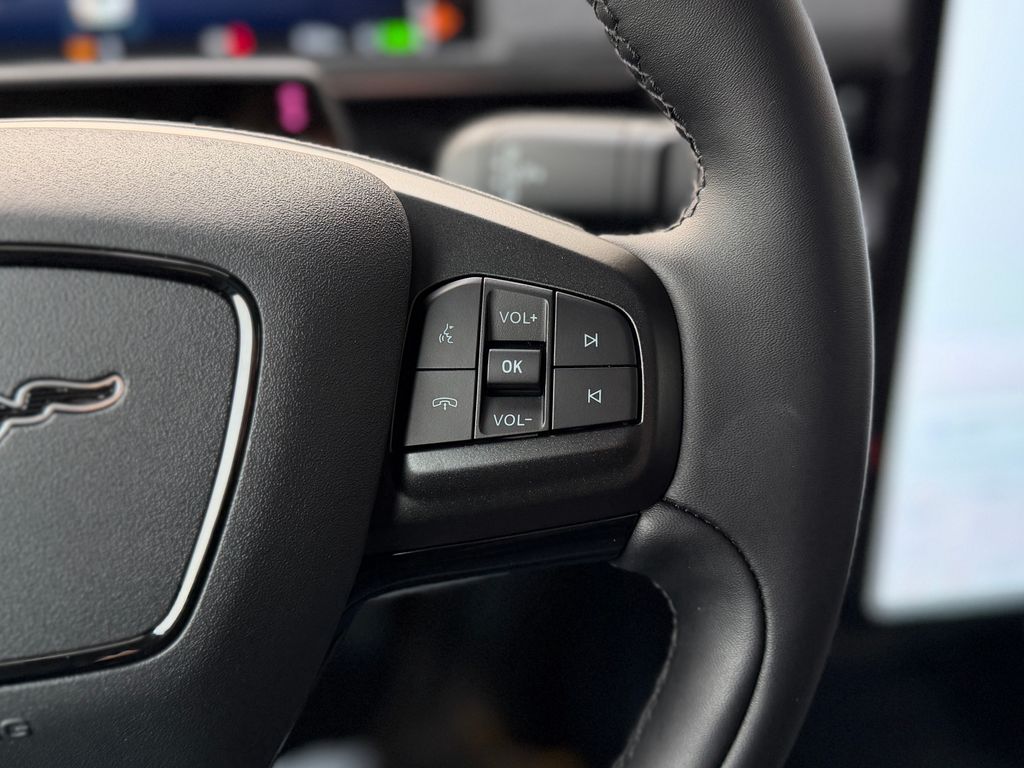 2025 Ford Mustang Mach-E Premium - Photo 12