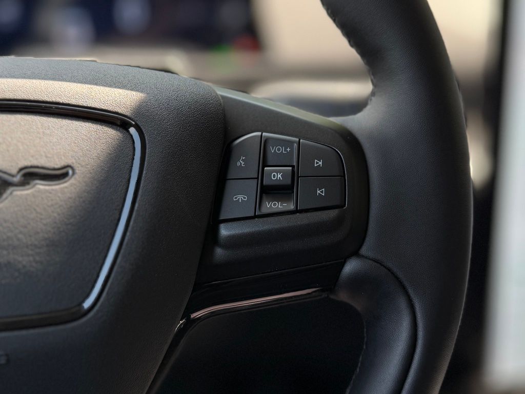 2025 Ford Mustang Mach-E Premium - Photo 12