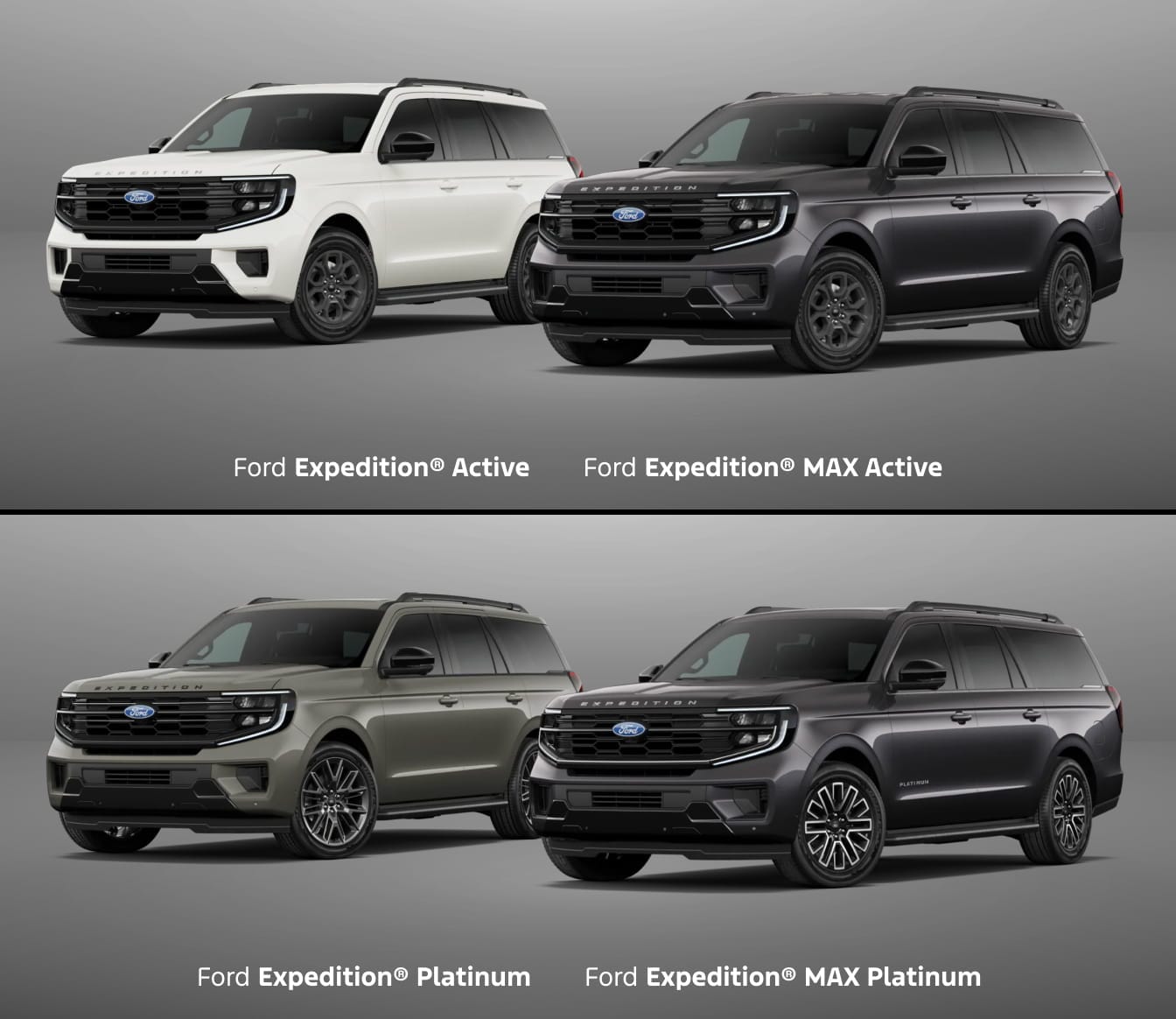 Ford Expedition Active, MAX Active, Platinum, and MAX Platinum models shown in different exterior colors from front three-quarter views.
