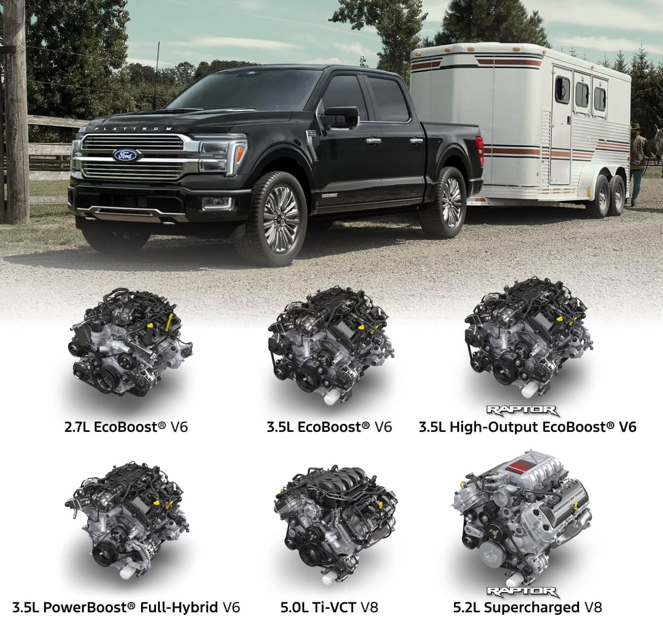 F-150® Platinum® Plus in Agate Black Metallic