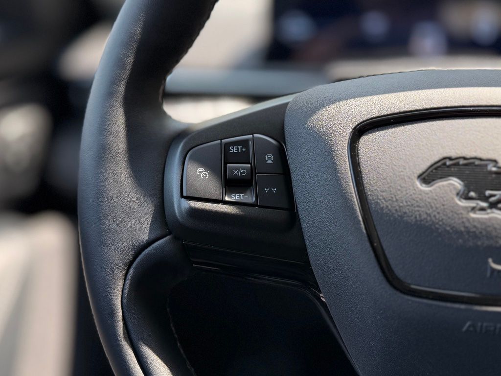 2025 Ford Mustang Mach-E Premium - Photo 11
