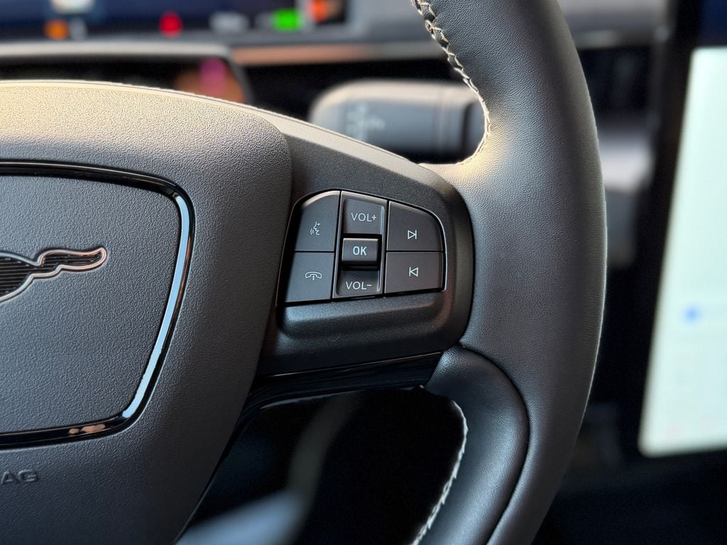 2025 Ford Mustang Mach-E GT - Photo 12