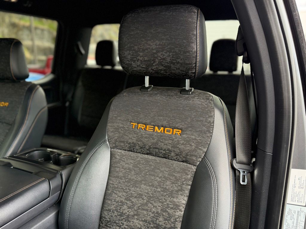 2023 Ford F-150 Tremor - Photo 6