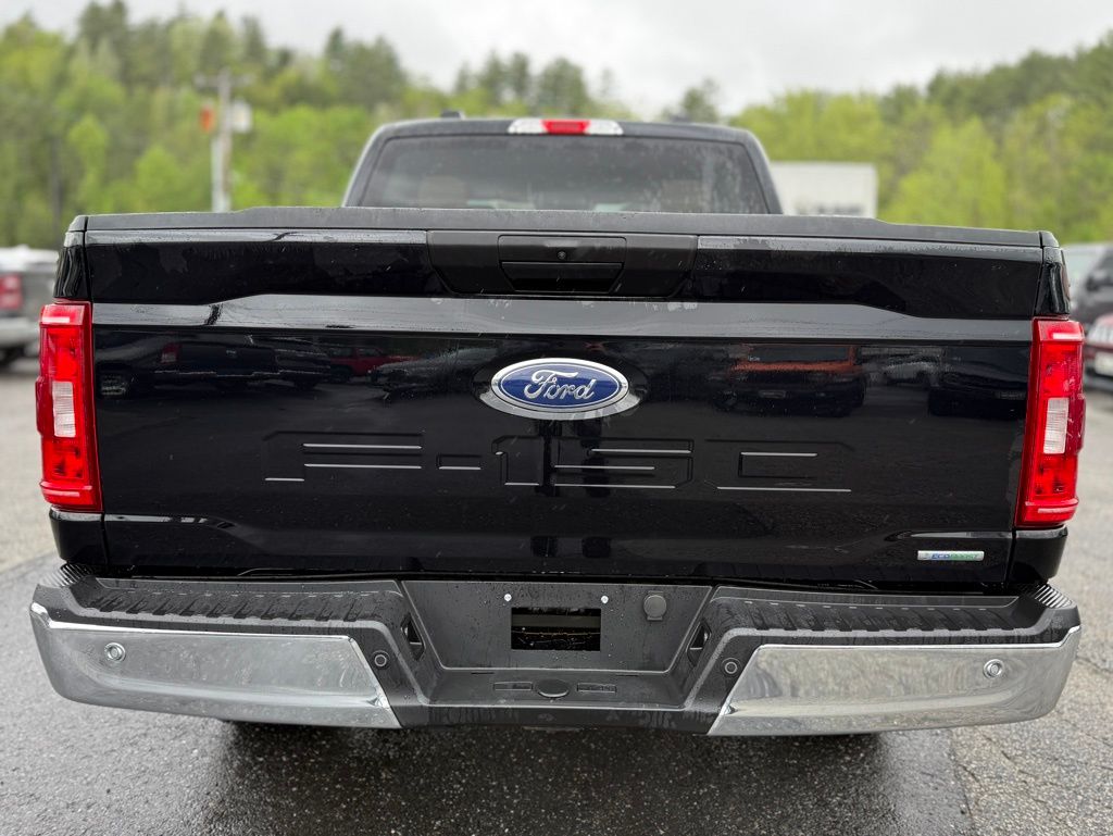 2023 Ford F-150 XLT photo 3
