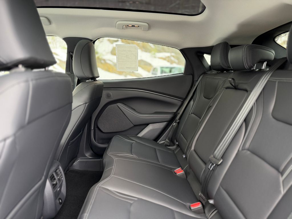 2025 Ford Mustang Mach-E Premium - Photo 6