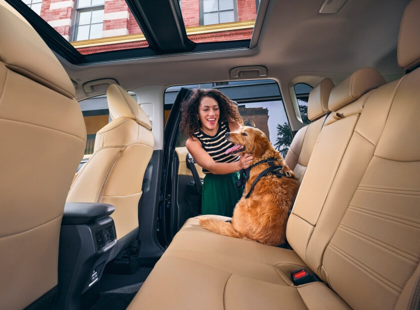 A woman and her dog in the backseat of a 2025 Toyota RAV4 Limited Interior in nutmeg