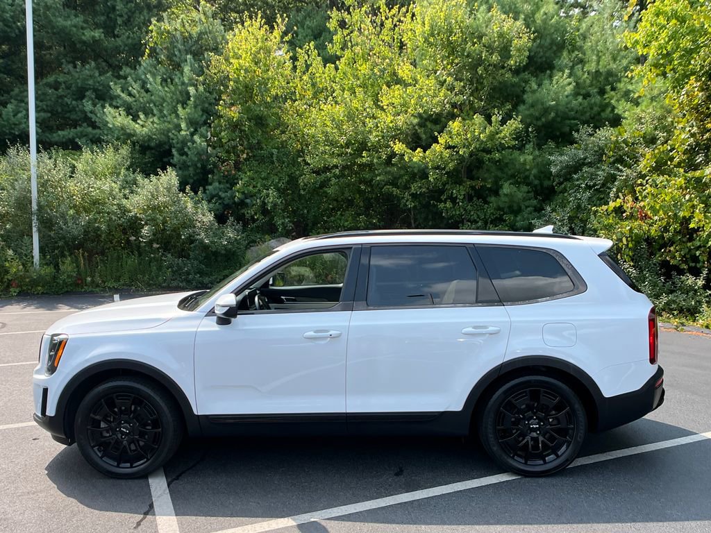 2022 Kia Telluride EX photo 2