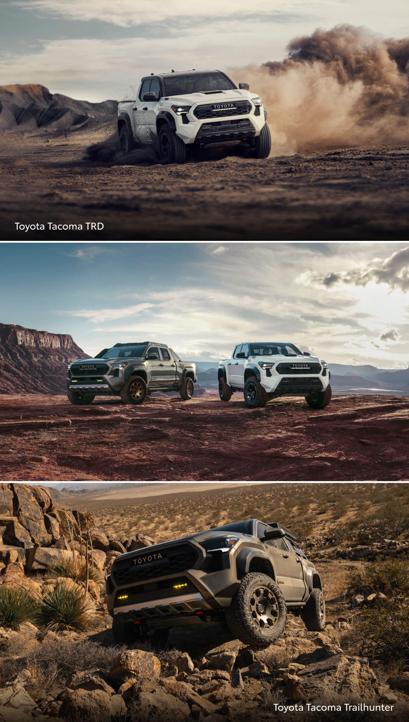 Toyota Tacoma MPG by Trim Level