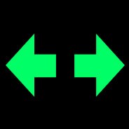 Turn-Signal Indicator Light