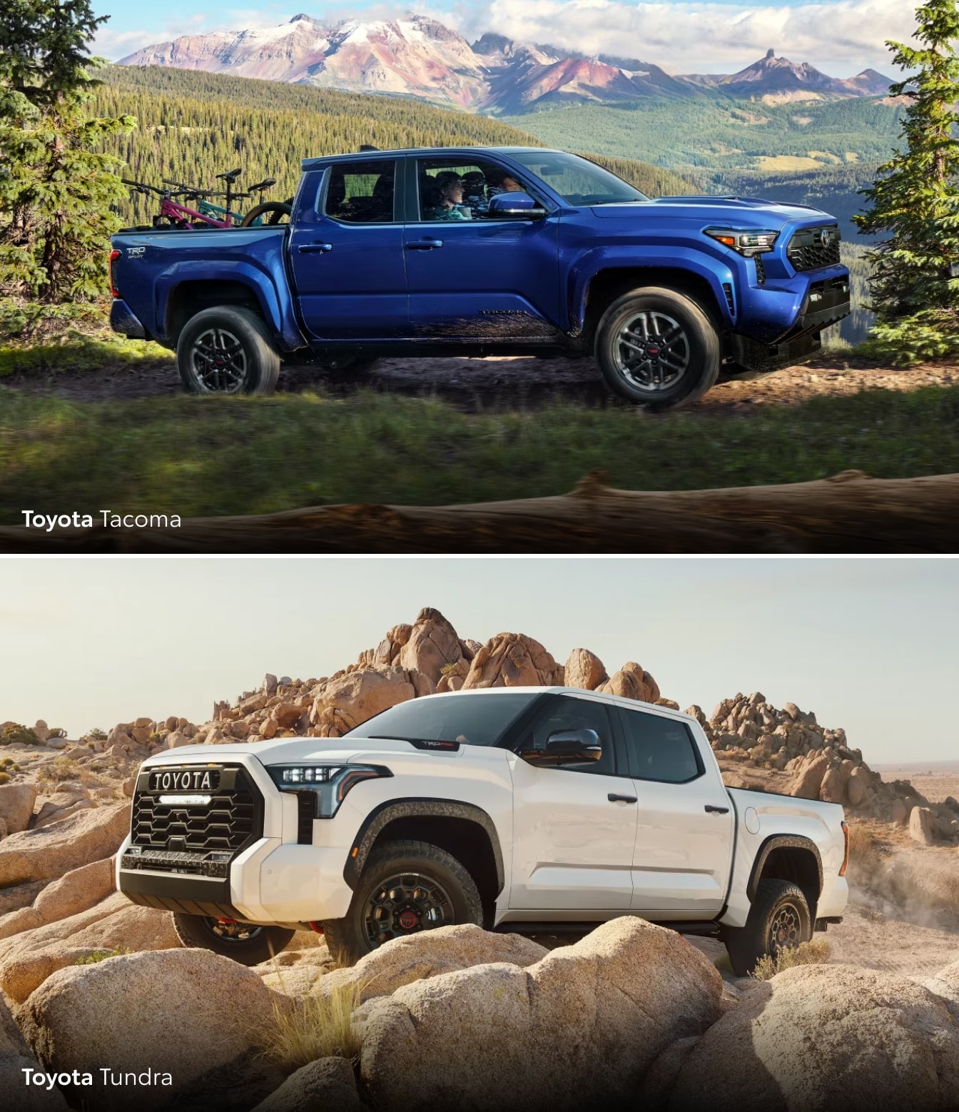 Toyota Tacoma vs. Toyota Tundra Size