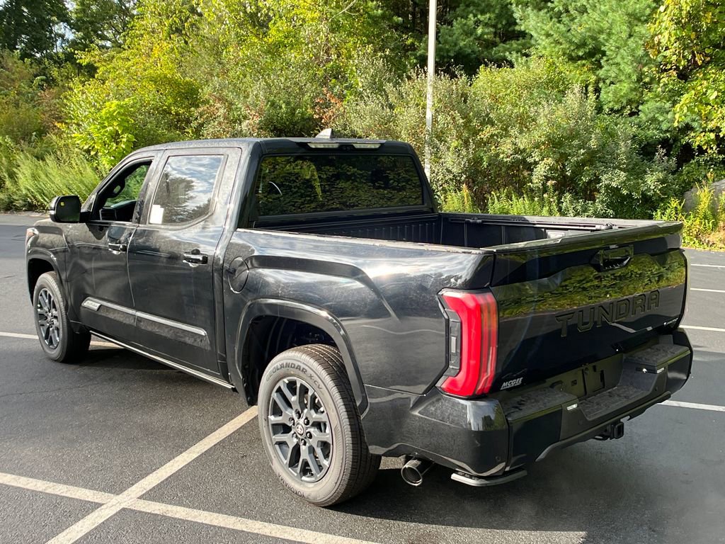 2026 Toyota Tundra Platinum photo 3