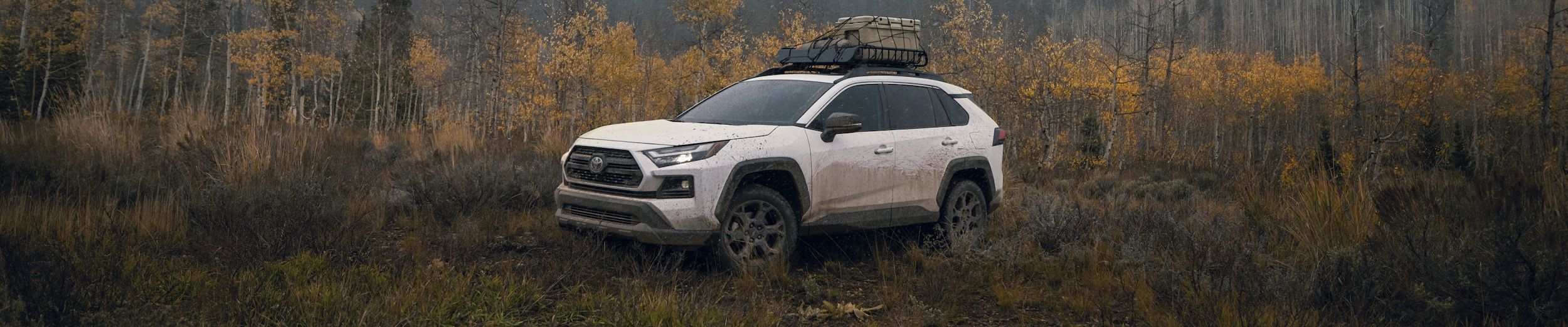 Toyota RAV4 Towing Capacity