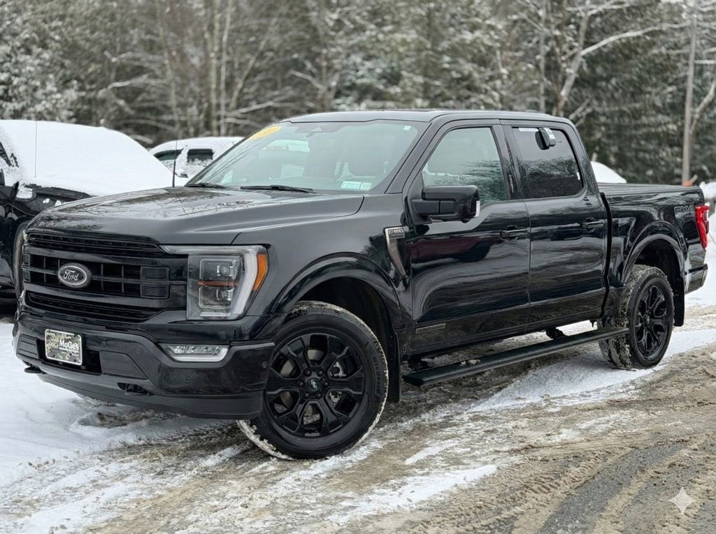 2022 Ford F-150 Platinum's photo