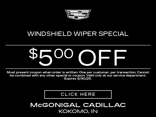 Windshield Wiper Special