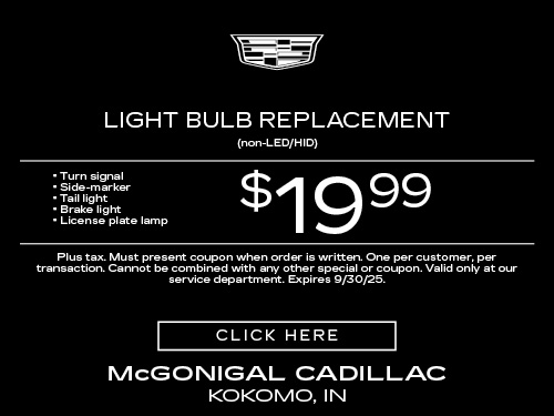 Light Bulb Special