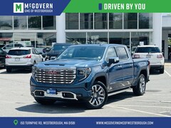 2025 GMC Sierra 1500 Denali Truck