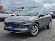 Used 2022 Ford Escape SE SUV