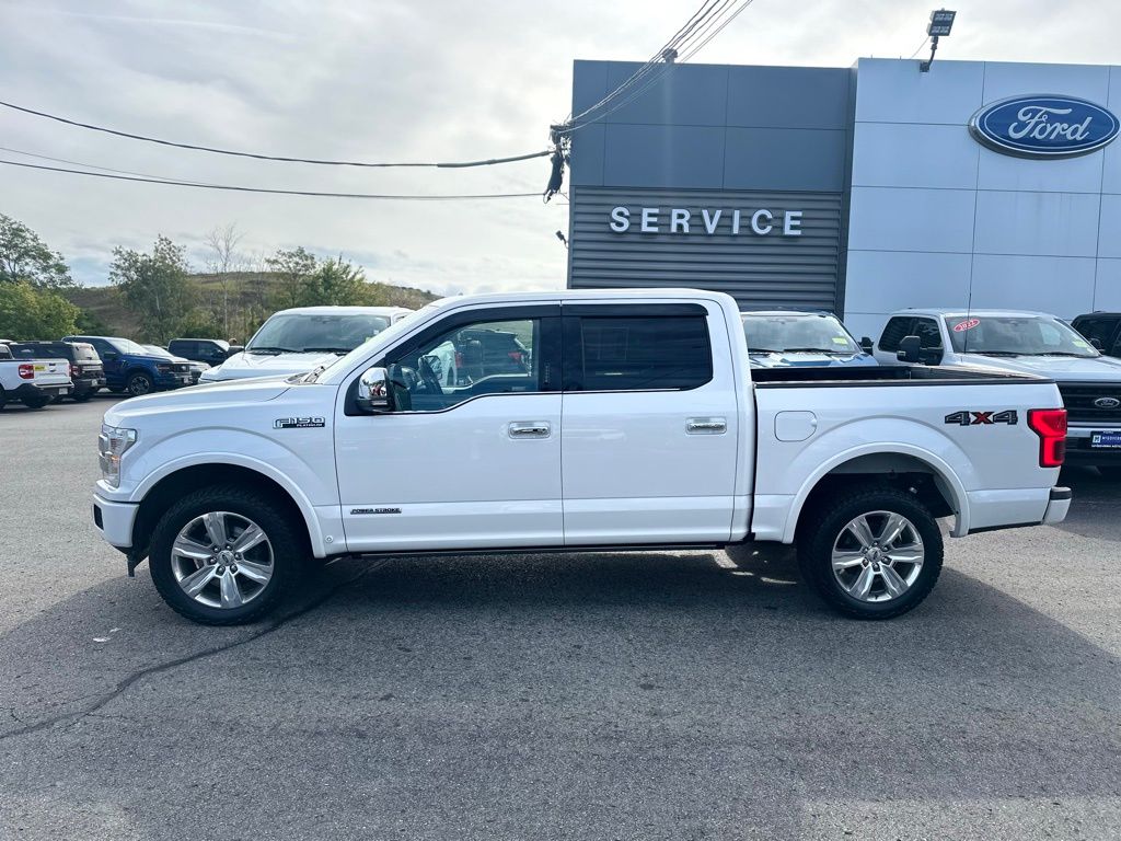 2019 Ford F-150 Platinum photo 2
