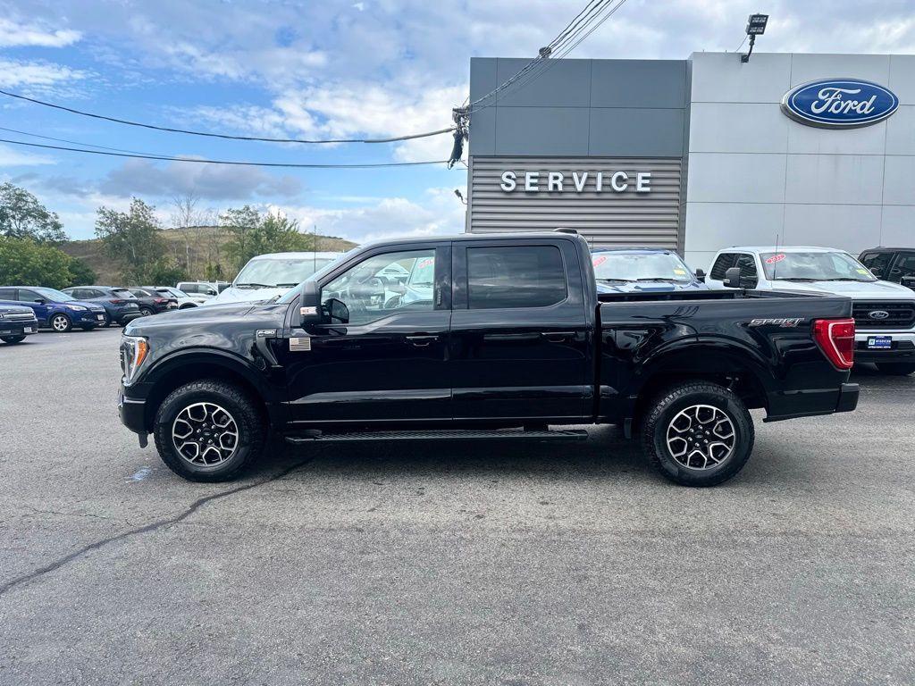 2023 Ford F-150 XLT photo 2