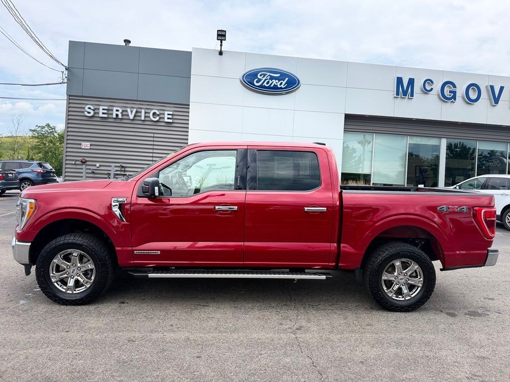 Used 2022 Ford F-150 XLT Truck