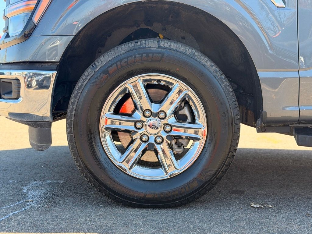 Used 2025 Ford F-150 XLT Truck
