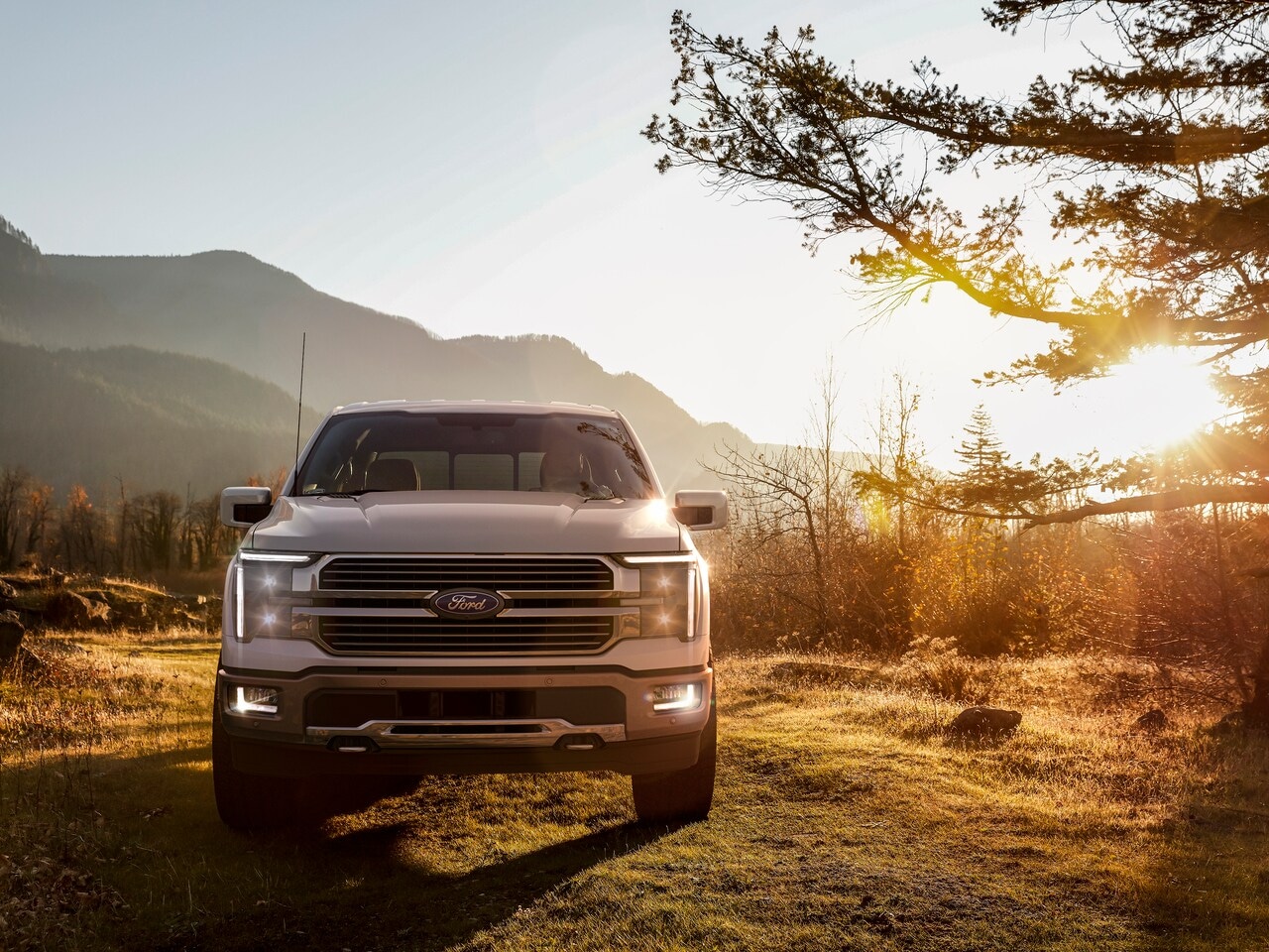  2025 Ford F-150 on grassy trail