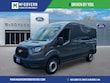  Ford Transit-250