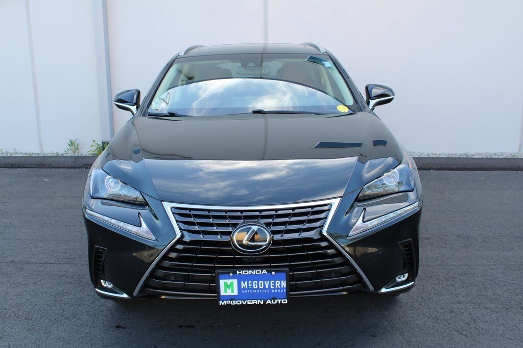 2019 Lexus NX 300 Luxury photo 2