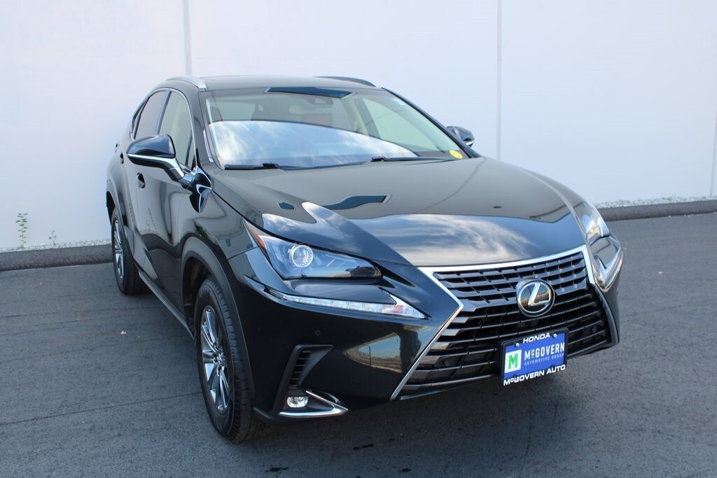 2019 Lexus NX 300 Luxury photo 3