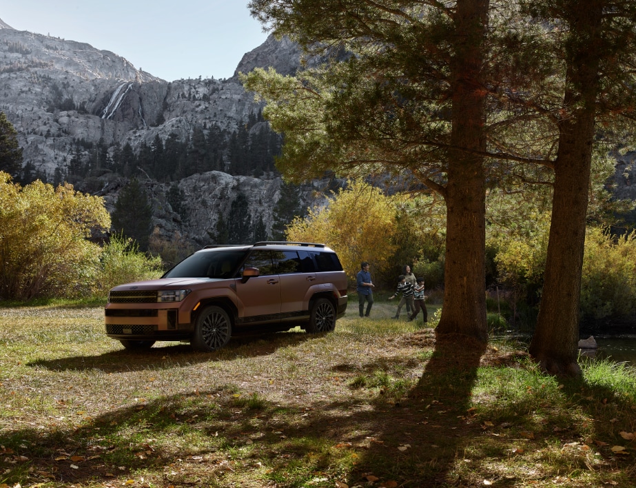 Brown Hyundai Santa Fe parked in the woods