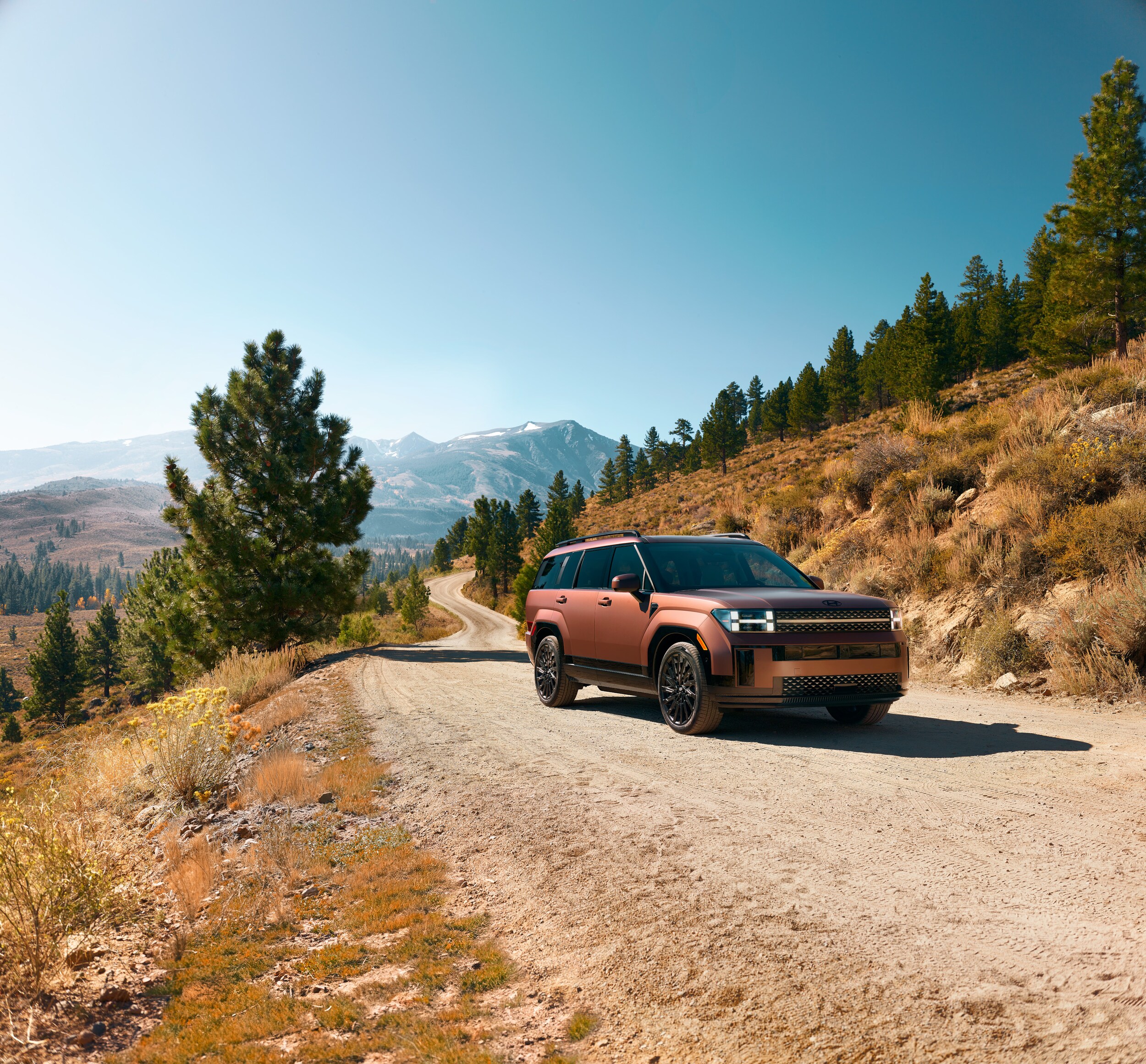Hyundai Santa Fe Hybrid driving on dirt road