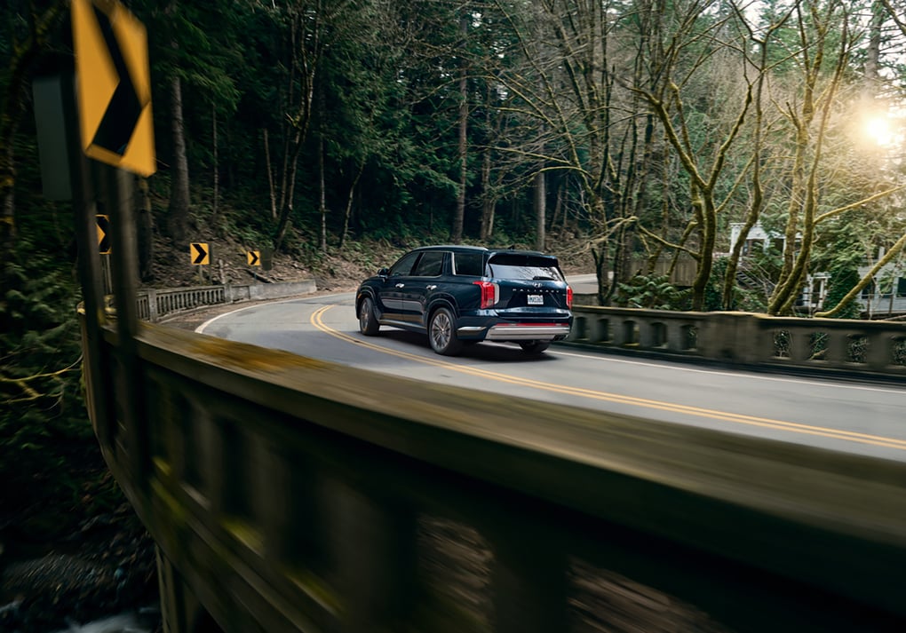 Hyundai Palisade driving on the road