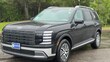  Hyundai Palisade Hybrid