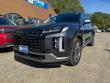 Used 2025 Hyundai Palisade SEL Premium SUV