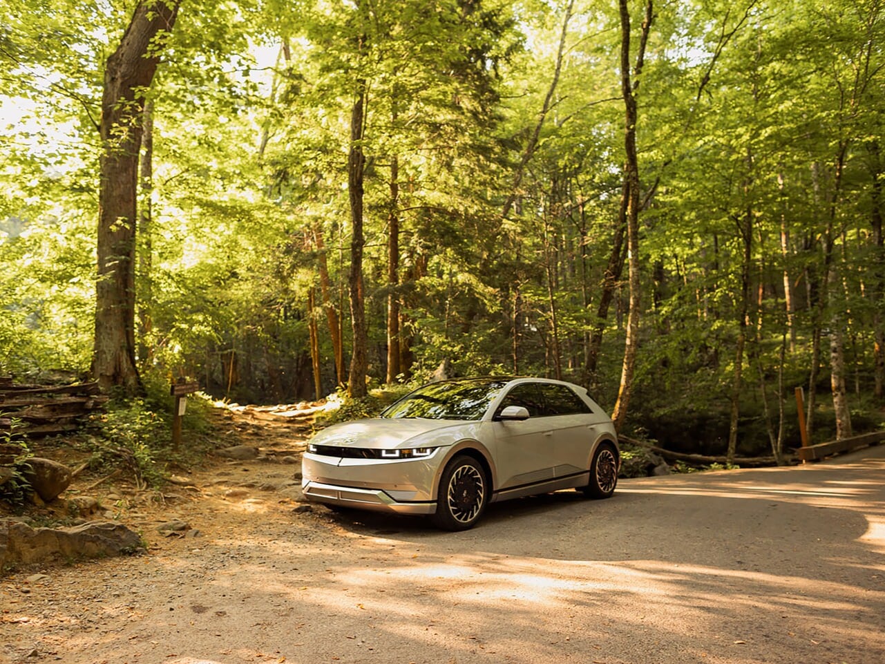 Hyundai IONIQ 5 in the woods
