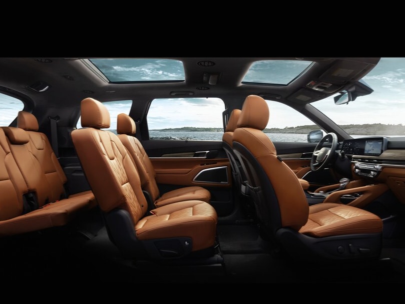 Telluride Interior