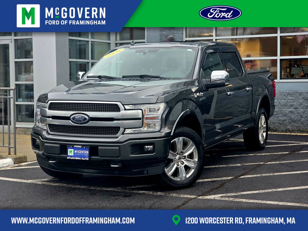 2020 Ford F-150 Platinum's photo