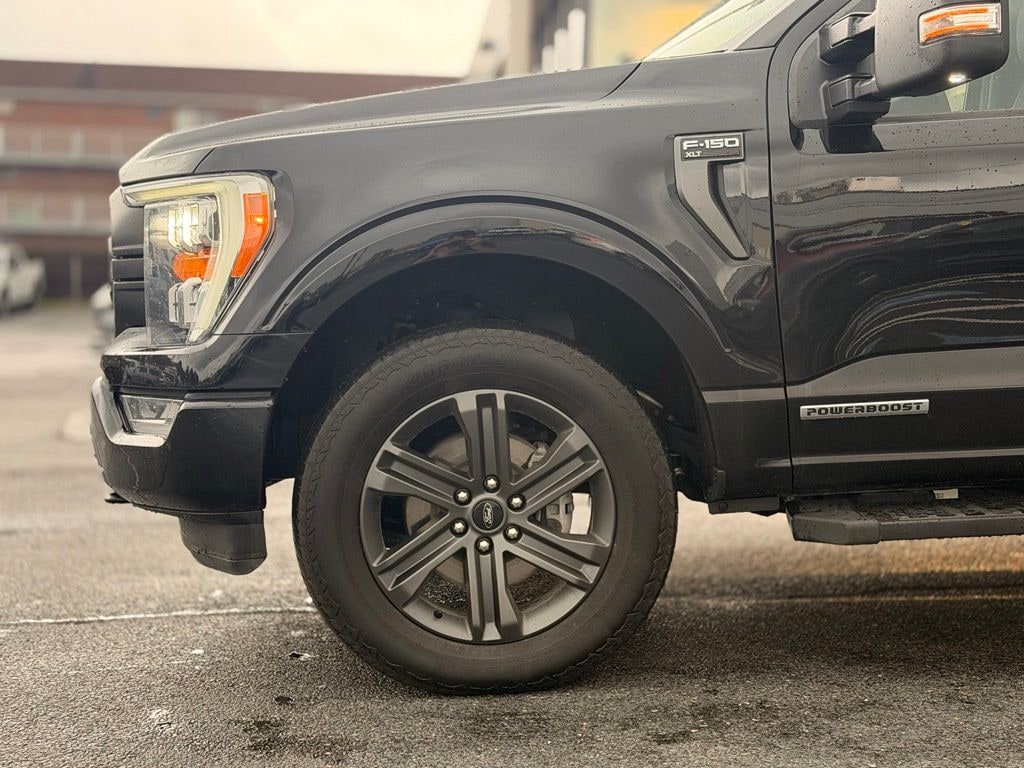 Used 2023 Ford F-150 XLT Truck SuperCrew Cab