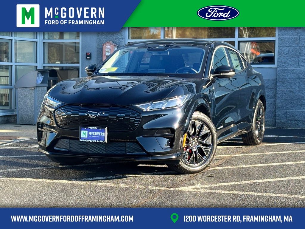 2025 Ford Mustang Mach-E Premium AWD's photo