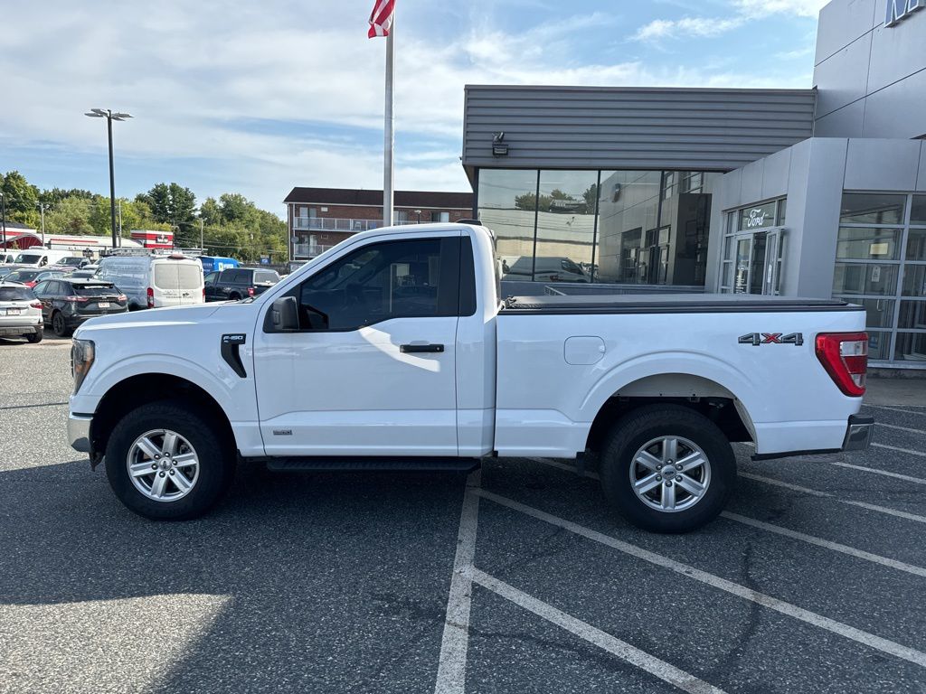 Used 2023 Ford F-150 XL with VIN 1FTMF1EB3PKE59490 for sale in Framingham, MA