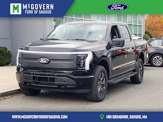 2025 Ford F-150 Lightning Flash TRUCK