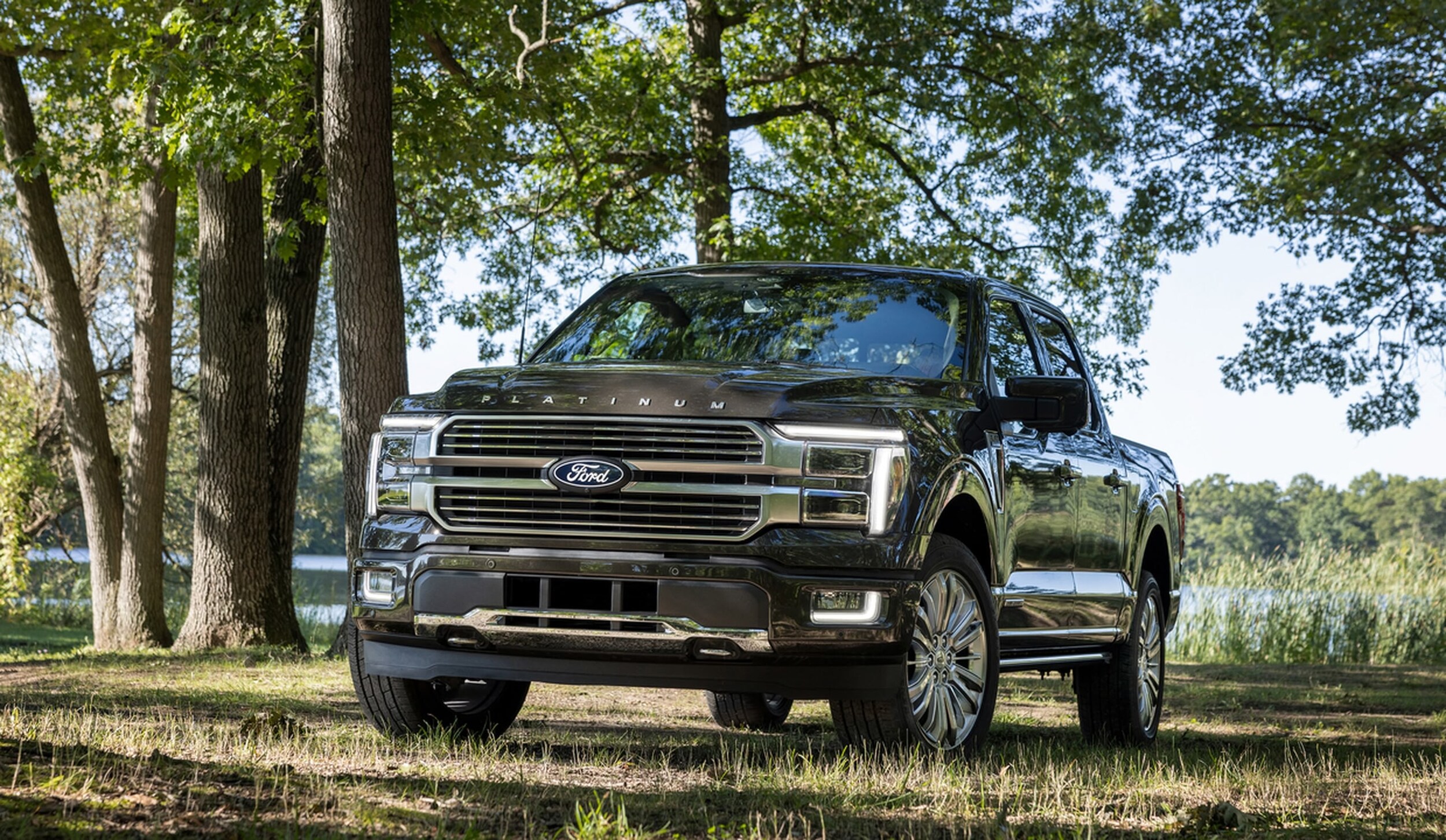 Ford F-150 parked on grass