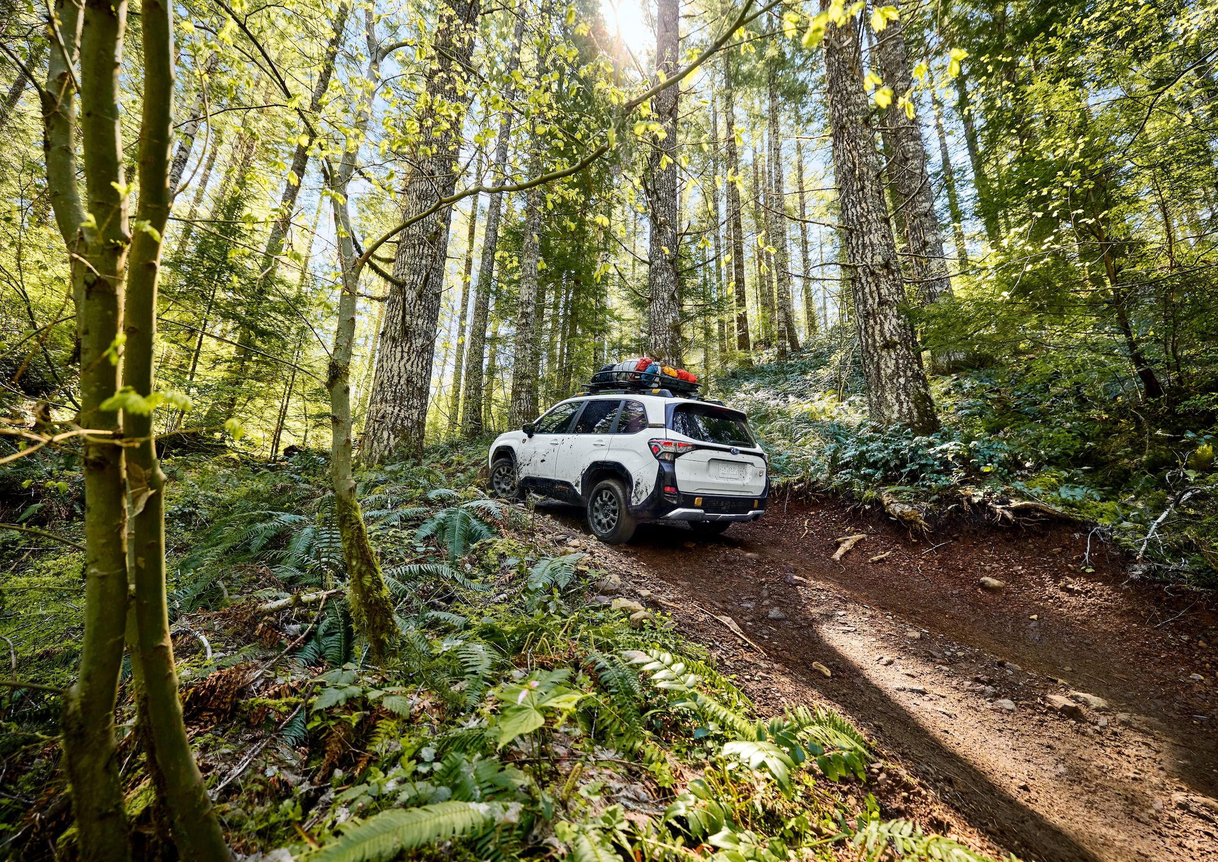Subaru Forester Wilderness driving up dirt trail