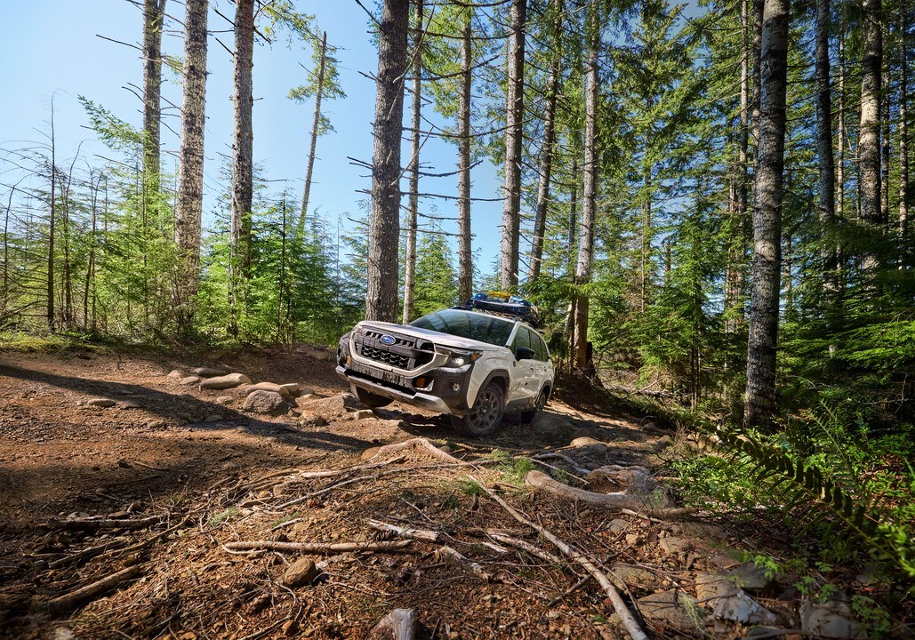  2026 Subaru Forester Wilderness driving on trail in woods