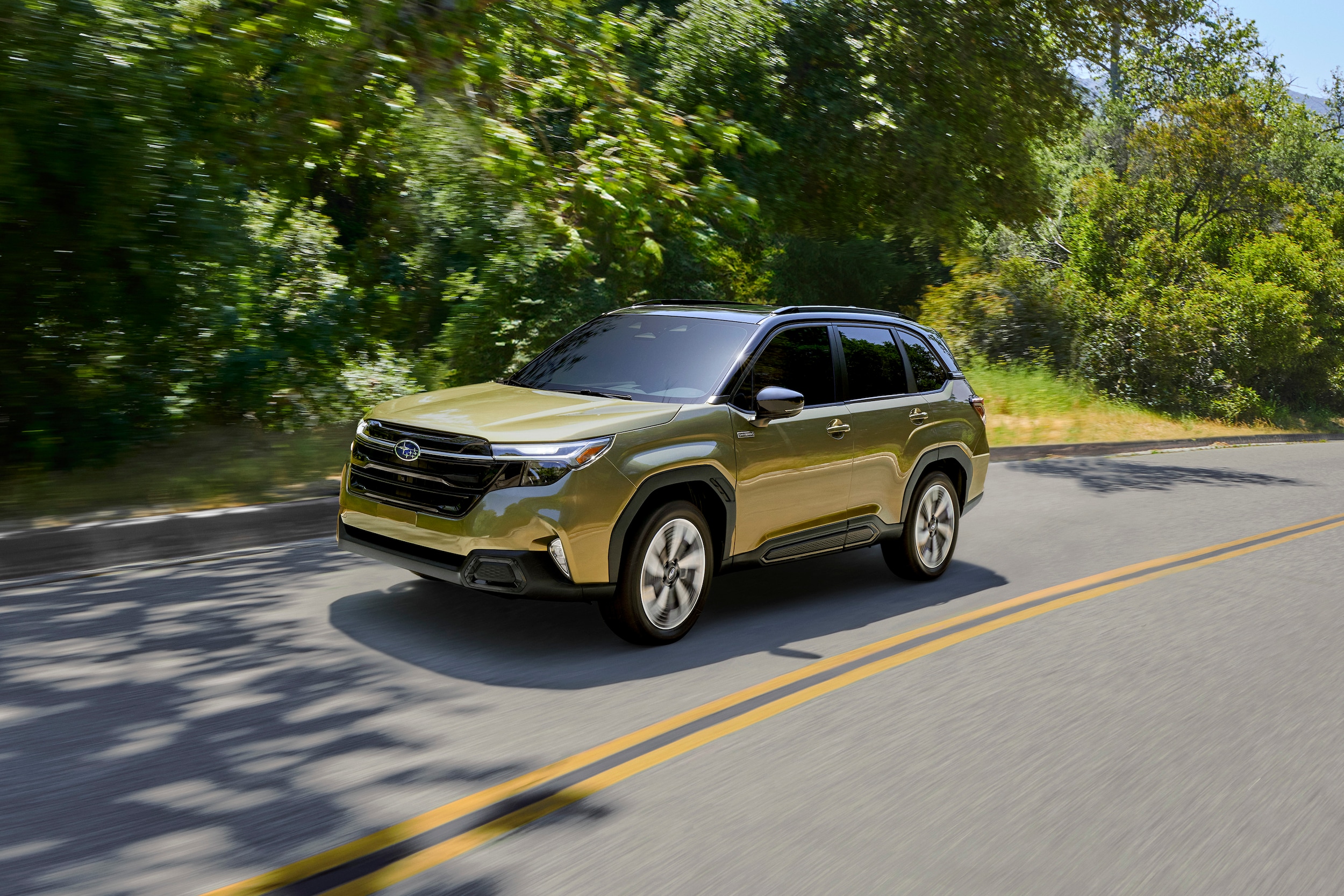 Green Subaru Forester Hybrid on wooded road