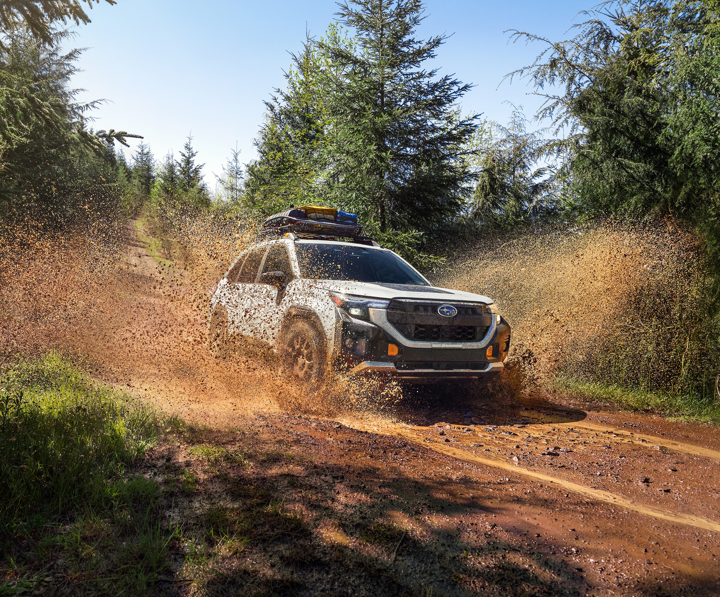 Subaru Forester Wilderness driving through mud